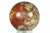 Colorful Petrified Wood (Araucaria) Sphere - Madagascar #286149-1